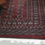 611 5275 ORIENTAL RUG